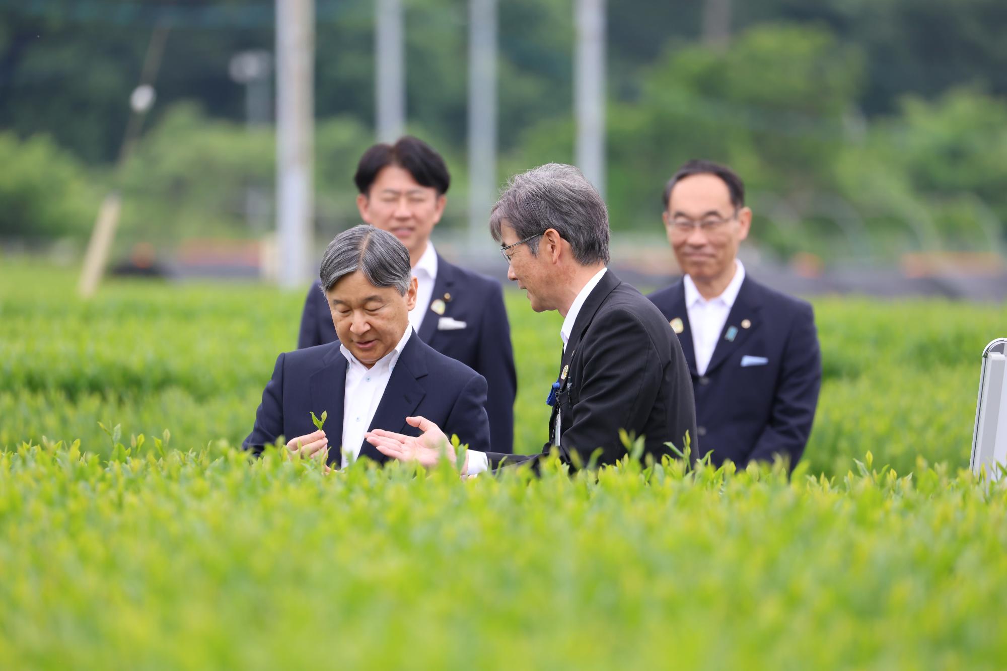 作況調査ほ場での研究概要御聴取