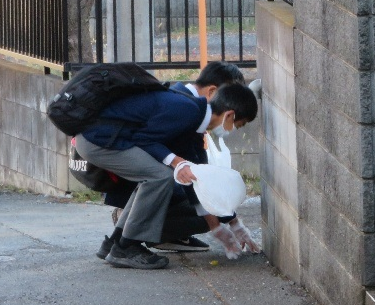 通学路清掃の様子