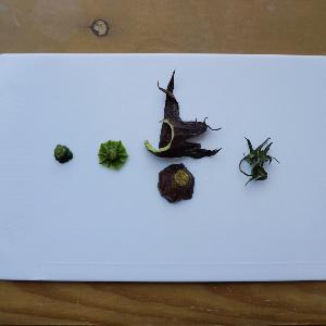 野菜のヘタ部分