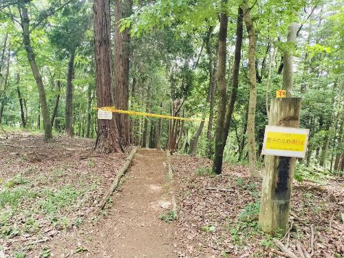 自然探勝路入口の通行止め