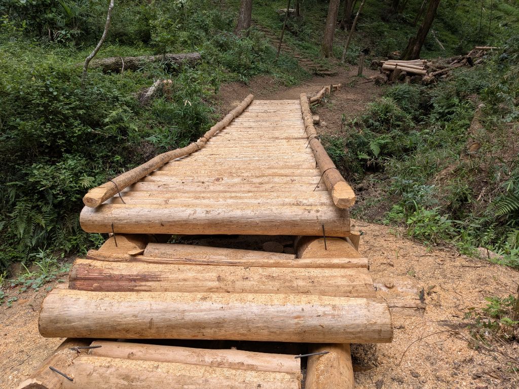 自然探勝路丸太橋