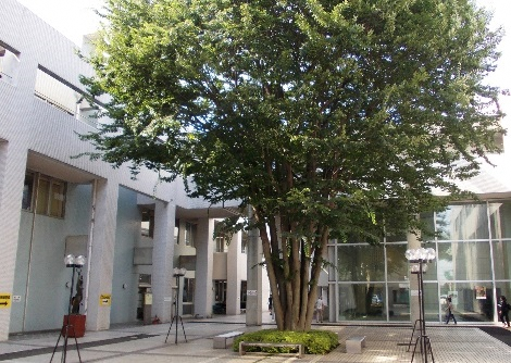 図書館本館