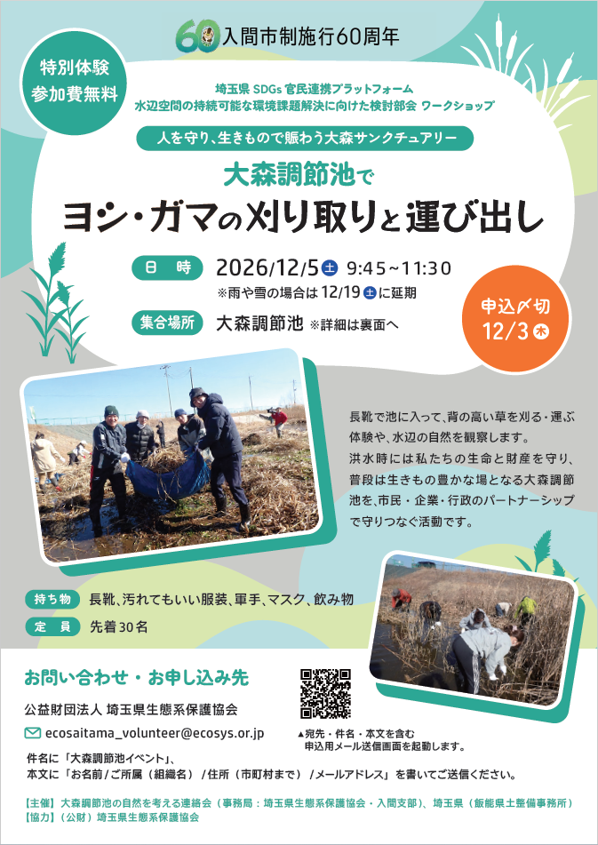 大森調整池でヨシ・ガマの刈り取りと運び出し