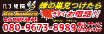 Bee busters広告