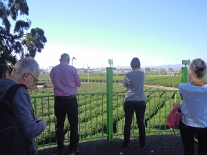 晴れた日に、茶畑が一望できる場所から、柵越しに4人のドイツ人が茶畑一帯を見学している写真