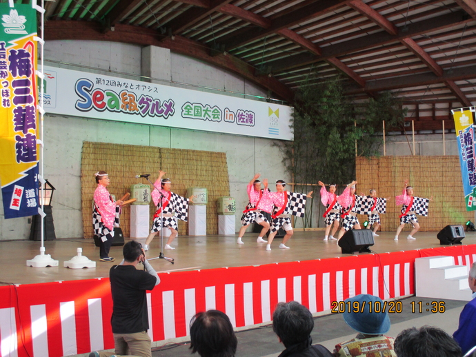 観客の後ろ姿とピンク色に白黒の市松模様の着物を着た入間かっぽれ愛好会の皆さんが8名踊っている姿