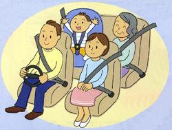 男性、若い女性、年配の女性、子供が各々、シートベルト、チャイルドシートを着用し、車に乗車している様子のイラスト