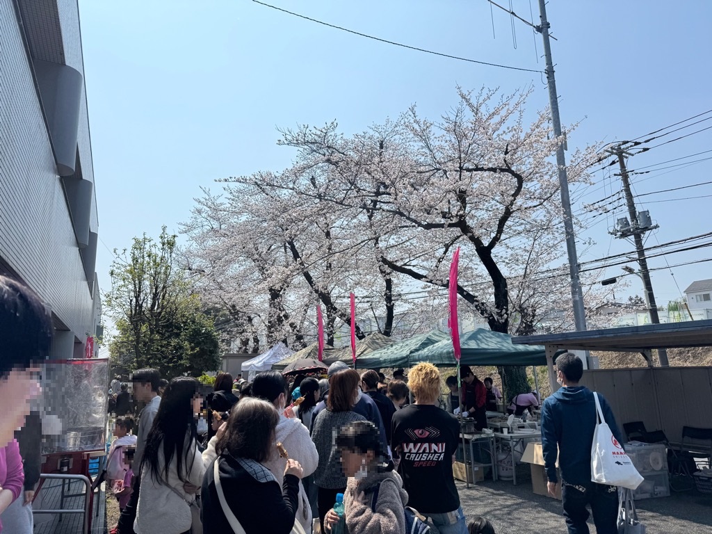 3月29日東金子桜まつり