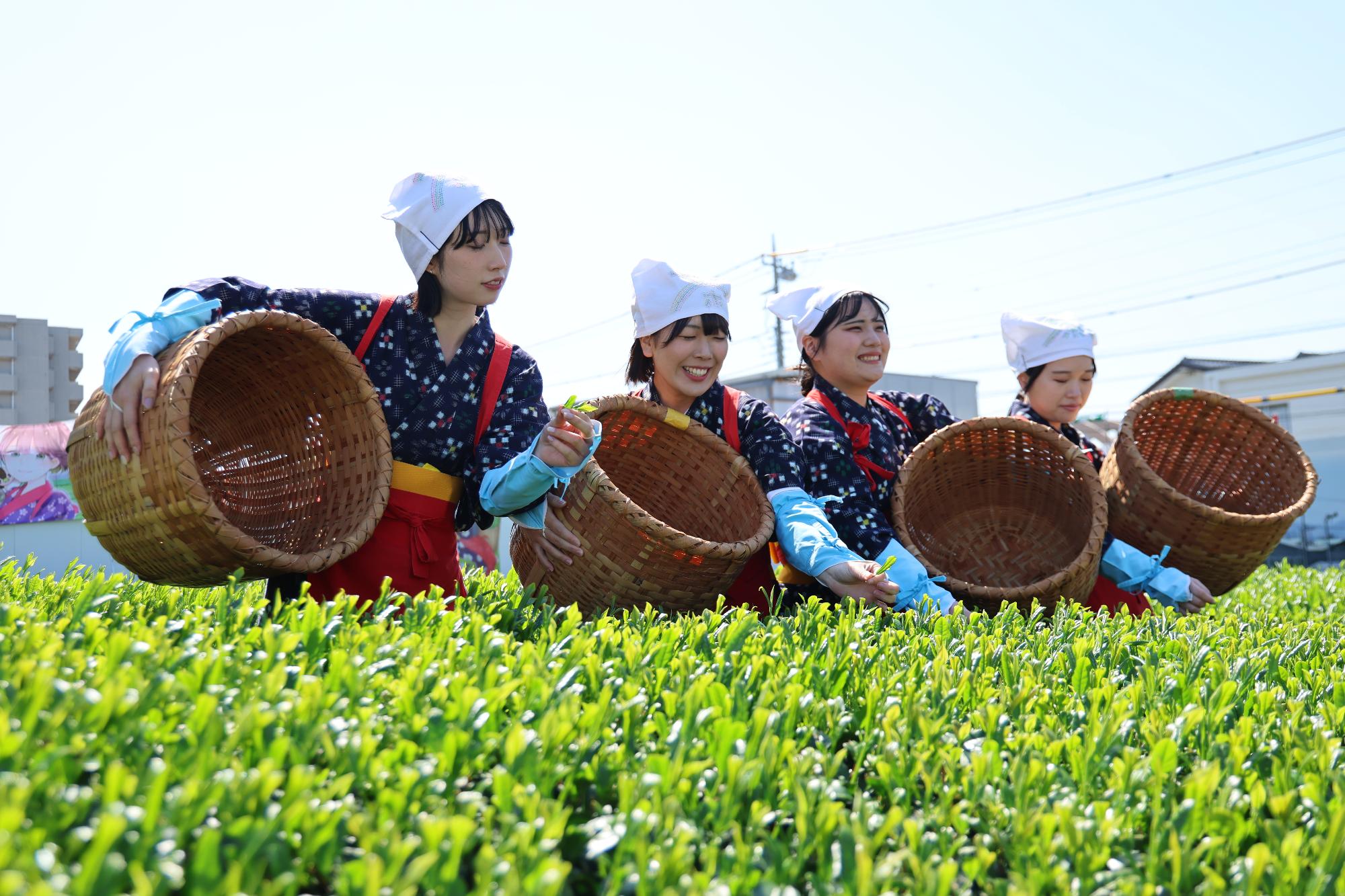 八十八夜新茶まつり