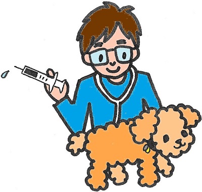 青い服を着た獣医が、フワフワの茶色い毛をした小型犬に注射している様子を描いたイラスト