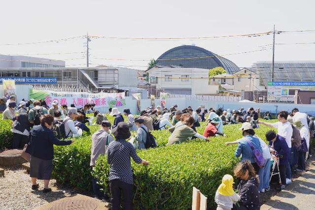 令和8年新茶まつり