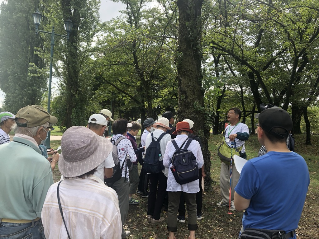 以前の開催の様子