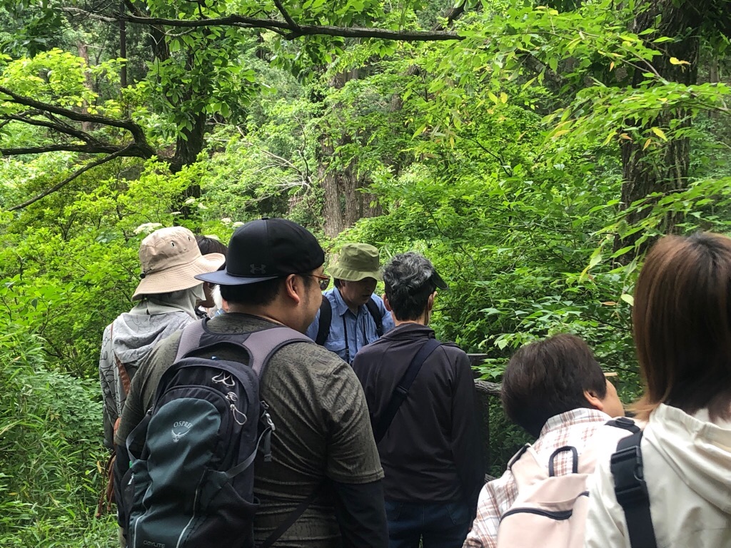 昨年度の桜山展望台周辺でのかんさつ会の様子