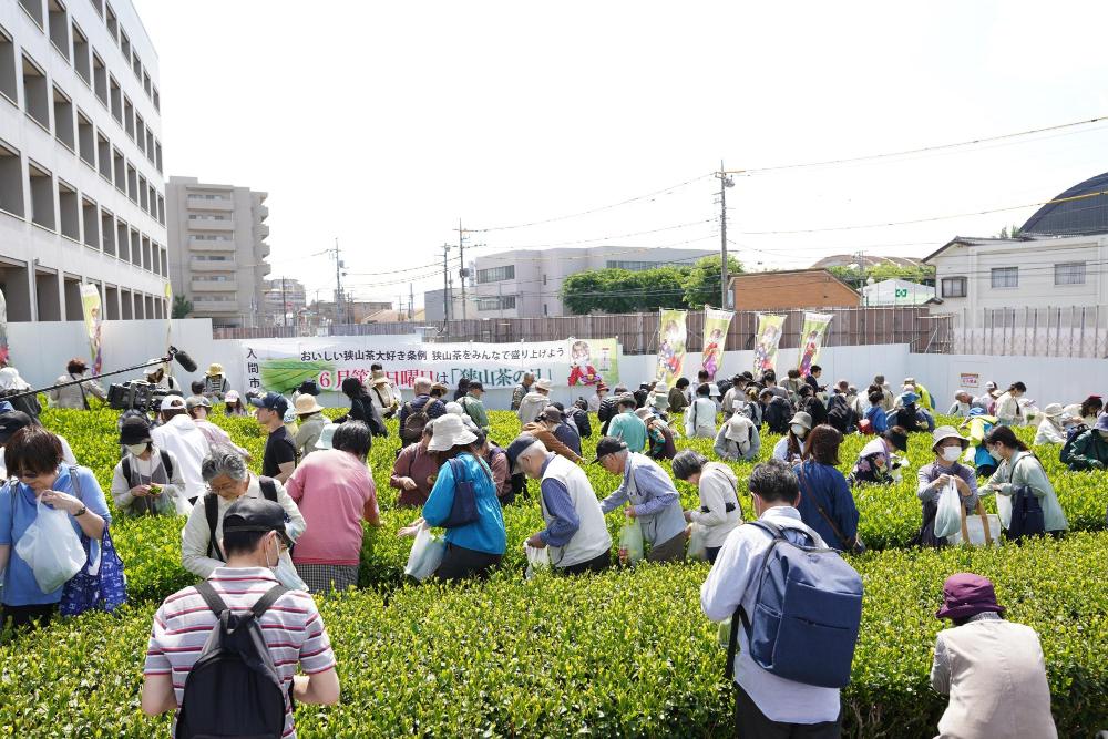 昨年の新茶まつりの様子