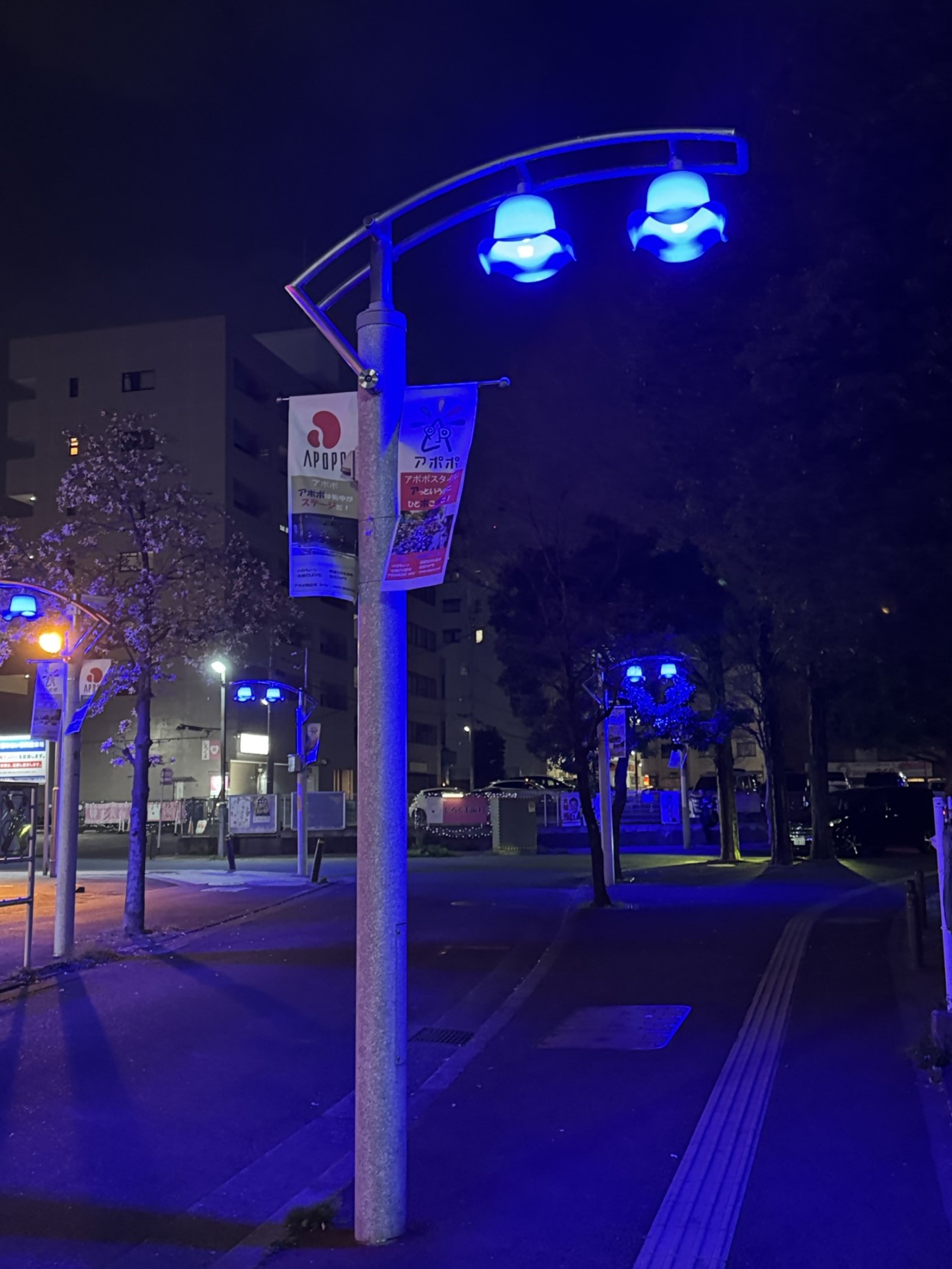 青色街路灯
