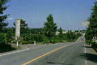 左側に日本一の道標があり、脇に木々が立ち並んでいる道路の写真