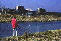 霞川と入間川の合流点付近の川沿いを赤いブルゾンを着た男性と犬が散歩している写真