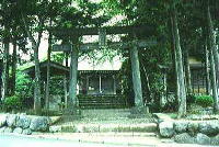 木々に囲まれた鳥居の奥に見える桂川甚社の写真