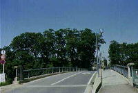 橋が奥へ続いた先にケヤキの木が生えている写真