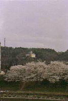 丘の上に建つ旧入間グリーンロッジと手前に桃色に咲いている木がある写真
