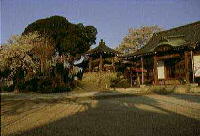 木々に囲まれた龍円寺観音堂と境内の写真
