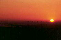 上半分が橙色にそまり下半分が暗くなっている桜山展望台から見た夕日の写真