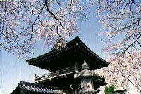 青空の下で桜の花が咲く枝と、山門の上に建つ建物を左から見上げている写真
