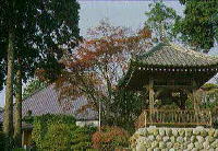 木々に囲まれた中石垣の上に鐘つき堂が建つ東光寺の境内の写真