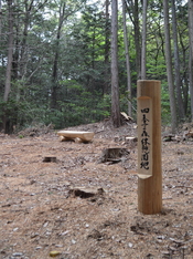 丸太製の腰かけ等が設けられた、四季の森休憩園地の風景写真