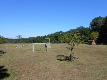 南側より撮影された、山仕事の広場の風景写真