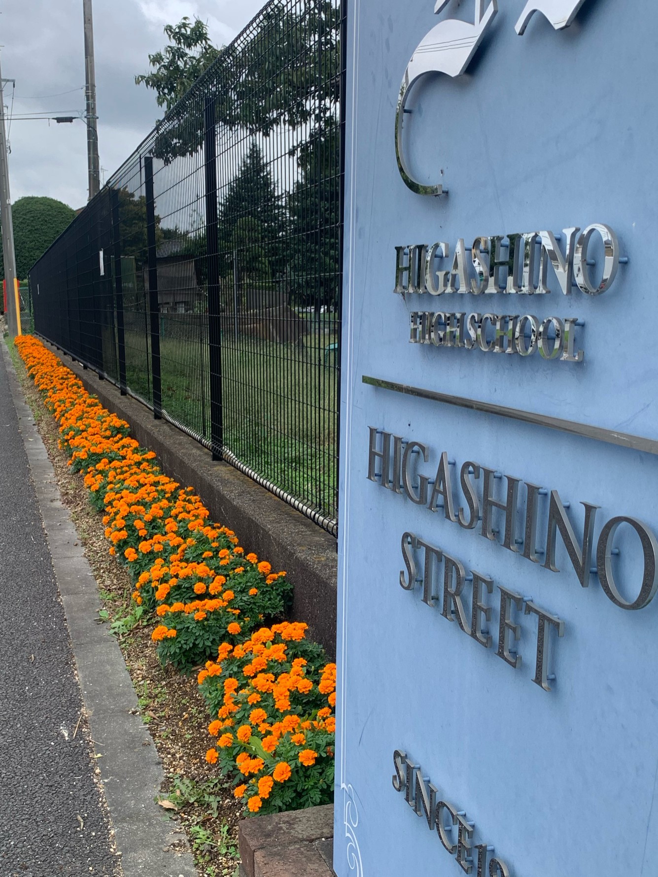 東野高等学校の花壇