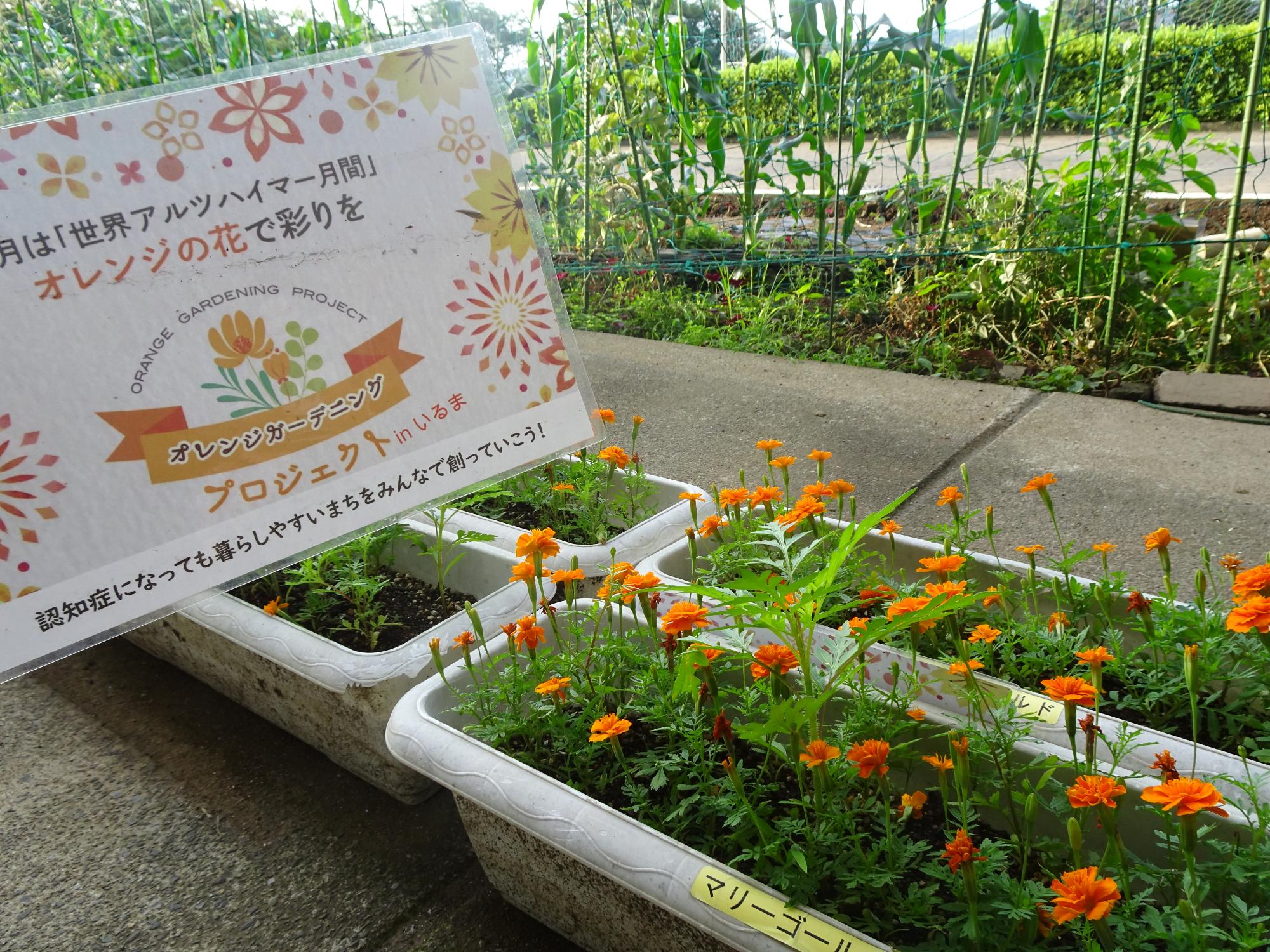 西武中学校の花壇