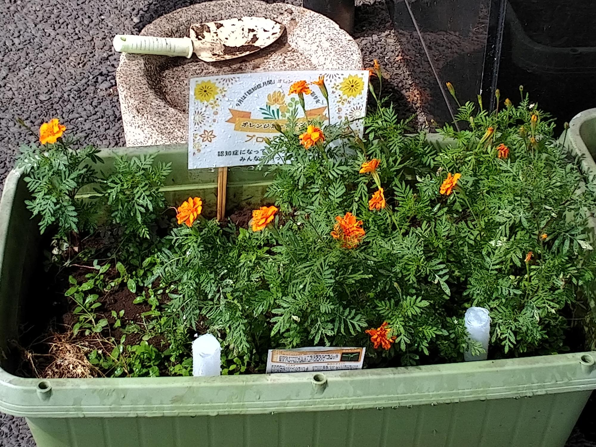 鍵山苑の花
