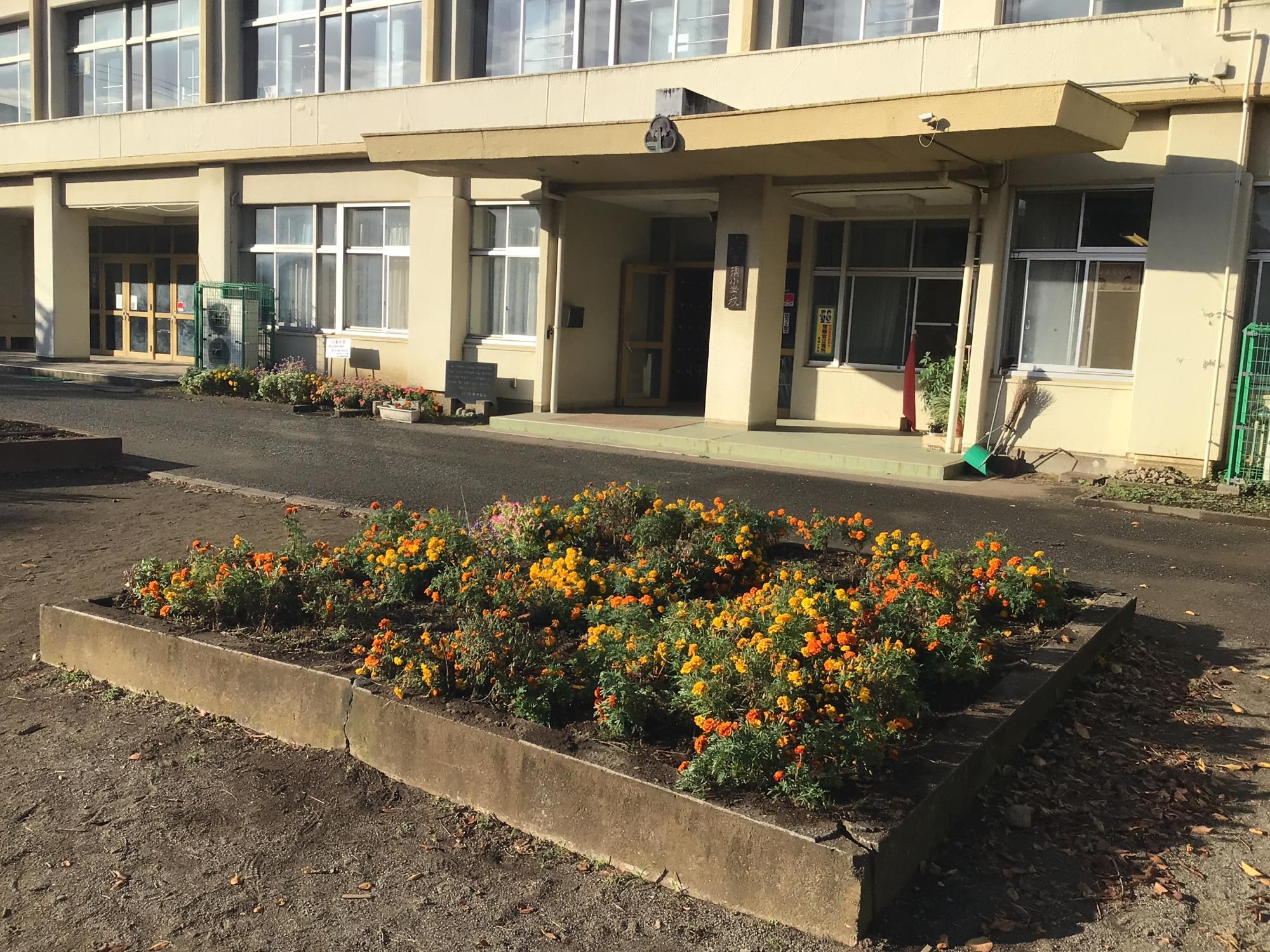 黒須小学校の花壇
