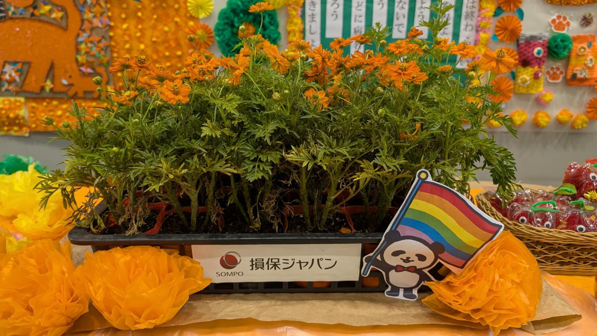 損保ジャパンからの花