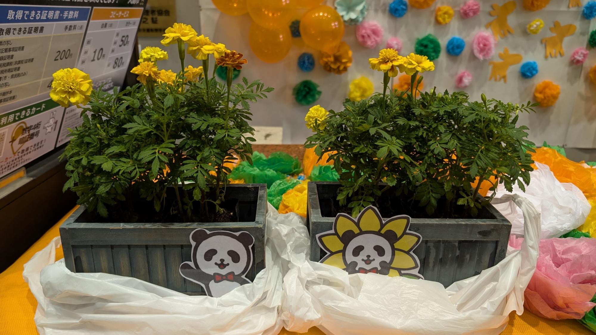 損保ジャパンからの花