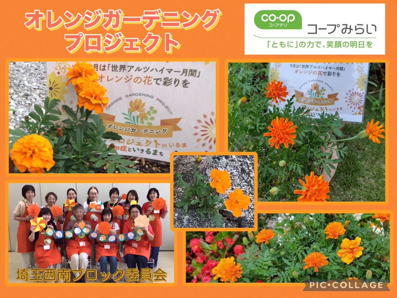 コープみらい埼玉西南ブロック委員会の取り組み