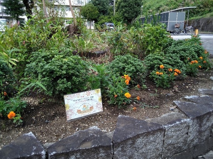 黒須団地の花壇