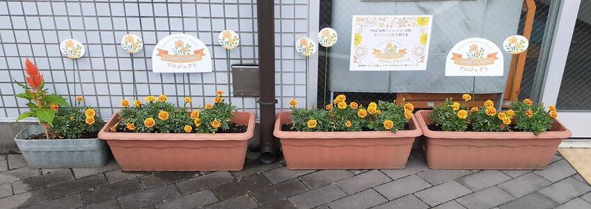 下藤沢郵便局の花壇