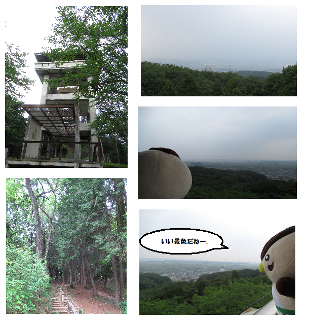 自然豊かな環境にある桜山展望台、木々が生い茂っている中の歩道、山頂から見下ろした街並みを見下ろすマスコットキャラクターのぬいぐるみが「いい景色だねー。」と言っている様子などの5枚並びの写真