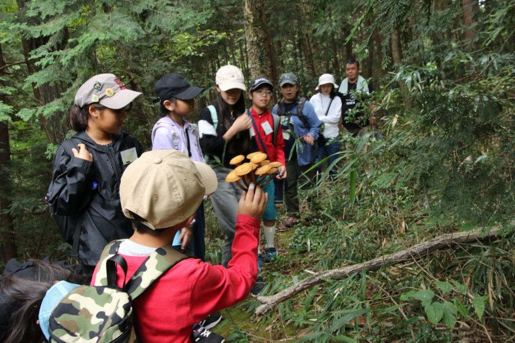（イメージ）森あそびクラブ