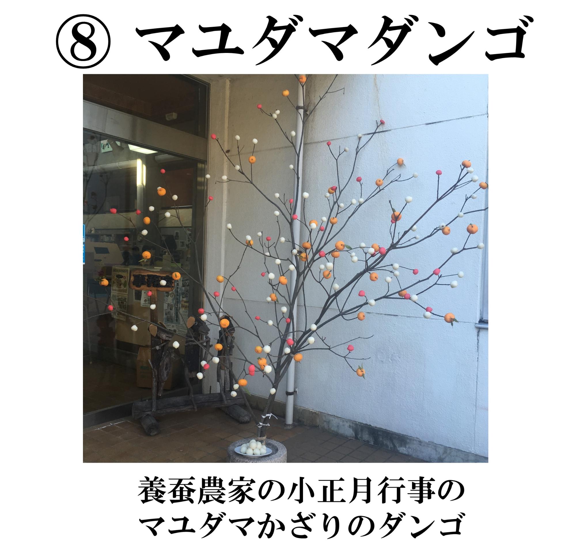 マユダマダンゴ