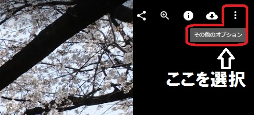 桜の写ったYouTubeの「その他オプション」の位置を説明した切り抜き写真