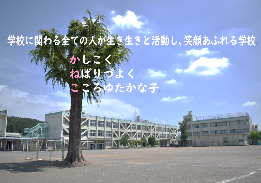 金子小学校と校庭の欅の写真