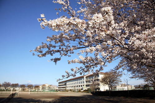 野田中学校の外観写真