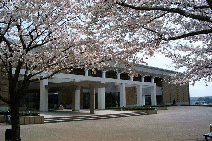 満開の桜の後ろに博物館本館前景が見えている写真