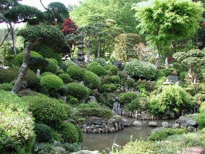 池と複数の種類の木が植えられた日本庭園の写真