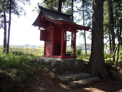 林の中に建てられた赤い祠の写真